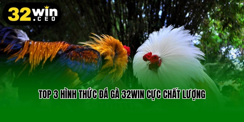 Top 3 hình thức đá gà 32win cực chất lượng